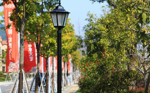装正宁庭院灯避坑指南:庭院路灯防雷接地要点 装正宁庭院灯避坑指南:庭院路灯防雷接地要点